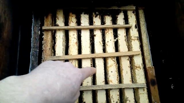 Зимовка пчёл с соломенными подушками. 02.02.2018.