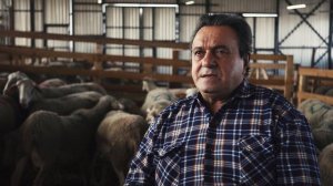 Как правильно вырастить ягнёнка