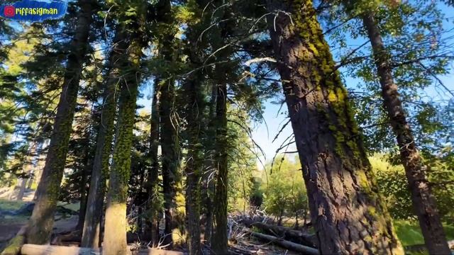 MANZANITA LAKE LOOP TRAIL LASSEN VOLCANIC NATIONAL PARK-PART 2 смотреть онлайн