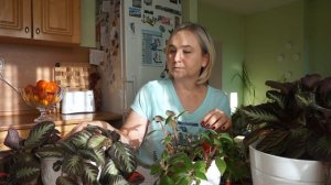 Уход за эписцией.