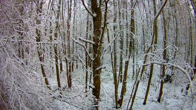 Осень-зима. Восьмое октября. смотреть онлайн
