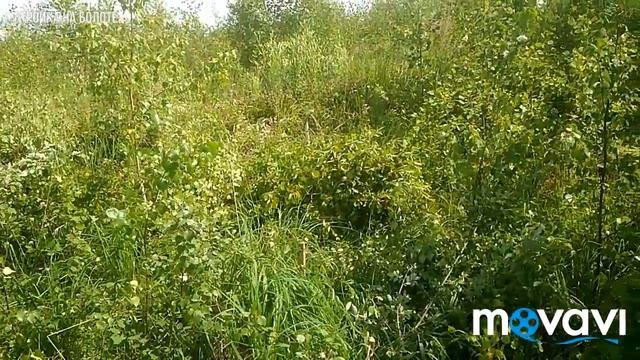 Стройка на болоте - Пилим деревья смотреть онлайн