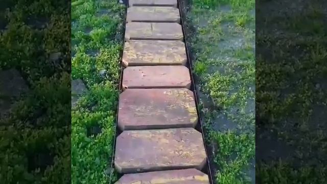 САДОВАЯ ДОРОЖКА из половых досок. Как сделать садовую дорожку смотреть онлайн