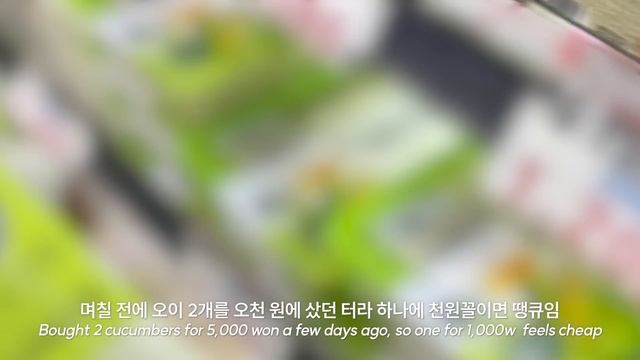 (sub) 자취 vlog | 내향인 직장인의 서울 자취 일상에 마라엽떡을 곁들인.. | 자취 요리, 매운음식 중독, 회사 야유회 etc. смотреть онлайн