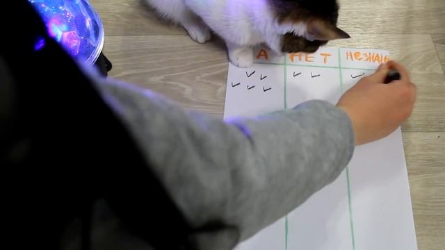 Гадание-анкета на любимого 100% правда.Как относится?Что думает?♥Leah Nadel смотреть онлайн