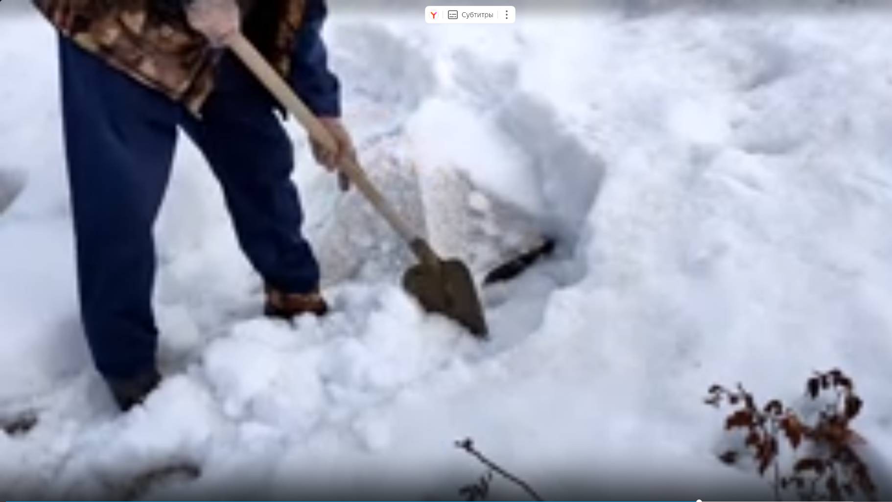 58.Как перезимовали наши растения. Откапываем розы... смотреть онлайн