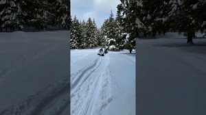 вездеход на двух независимых гусеницах с двумя моторами.Зимние развлечения.