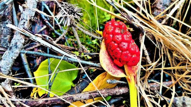 ✔ *Срочно~Важно* «Отец Абсолют - Дойти до конца !» смотреть онлайн