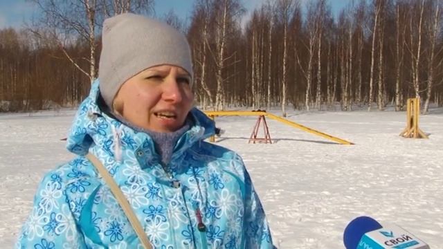 УШИ, ЛАПА, ХВОСТ! (БАССЕТ-ХАУНД) смотреть онлайн