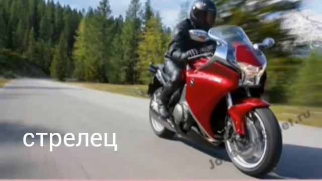 Машина по знаку зодиака