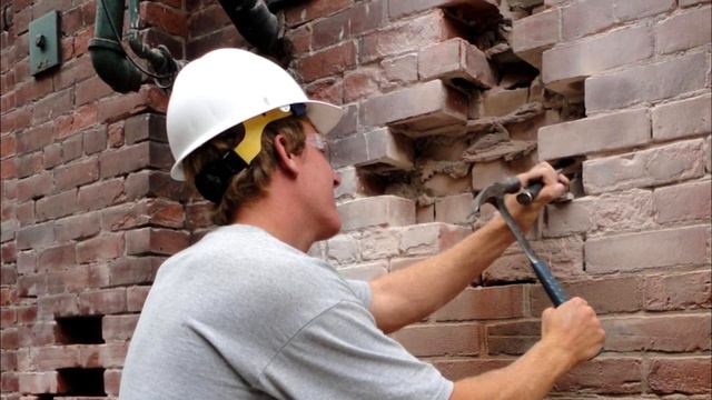 Собака каждый день прибегала в дом, и на протяжении 2-ух часов гавкала в стену. Это было не зря.. смотреть онлайн