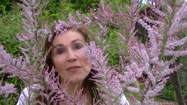 Признание. Поёт Галина Кныш смотреть онлайн