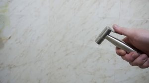 Лейка из комплекта гигиенического душа Bagnolux BF-C-041