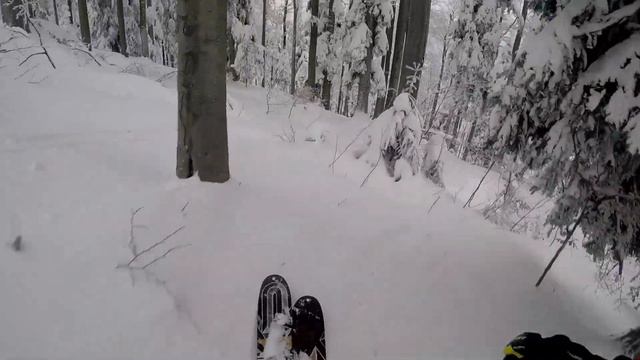 Pohorje v januarju 2023 смотреть онлайн