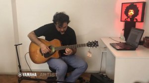 Test Yamaha fsx800c