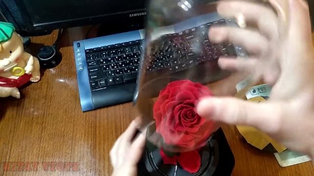 подарок для любимой роза в колбе смотреть онлайн