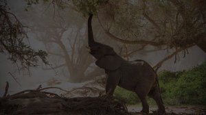 Пункт назначения - Африка, Того.