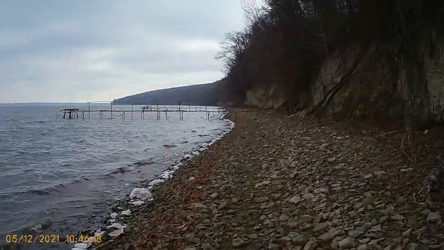 Поваленные деревья водой на берегу смотреть онлайн
