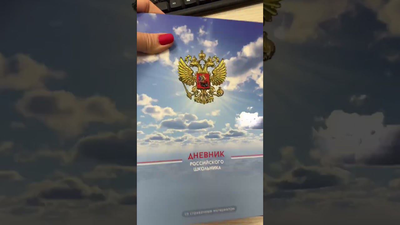 Дневник российского школьника/ новинки ФЕНИКС+ #обзор #school смотреть онлайн