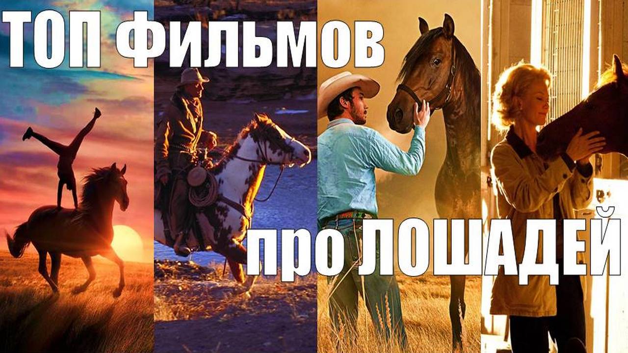 ТОП ФИЛЬМОВ ПРО ЛОШАДЕЙ смотреть онлайн