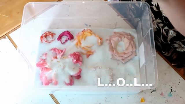 Drying Real Flowers in Silica Gel! смотреть онлайн