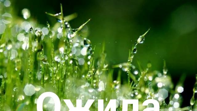 ЛЕТО. Христианское стихотворение.Автор Лилия Донич. смотреть онлайн