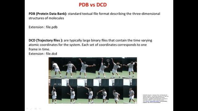 The difference between PDB and DCD files. смотреть онлайн