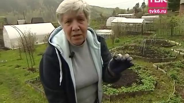 Обработка клубники от вредителей весной смотреть онлайн