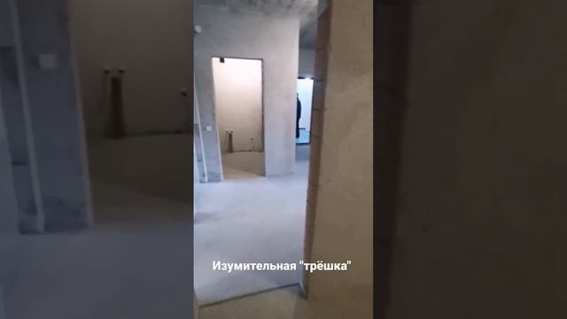 Классная трёшка в Калининграде! смотреть онлайн