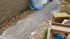 Шок ! Пошла искать клад .А нашла...Глаза на лоб от находки.Вы такое не видели ! Обзор находок