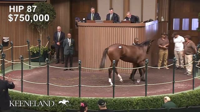 Hip 87, Gun Runner - Tip at Tapit sells for $1.5 million at Keeneland September смотреть онлайн
