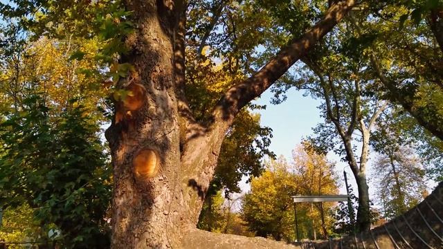 ЧИРЧИК# УЗБЕКИСТАН смотреть онлайн