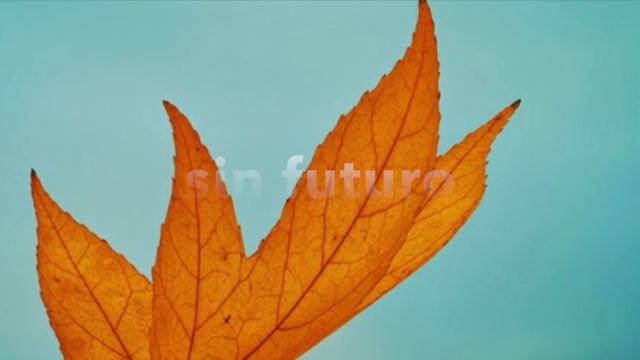 Ferroud-Berger Captive / Tutorial Sonido смотреть онлайн