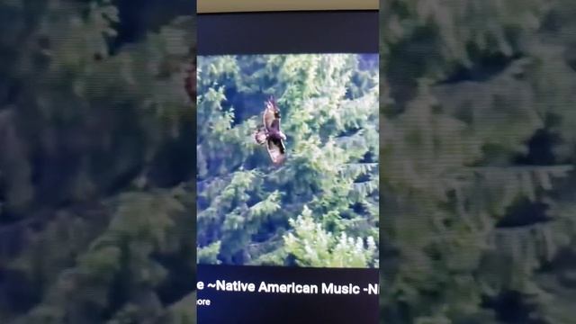 стих...,,ОРЕЛ'".@Катя С.У нас есть защита.Наш Творец. смотреть онлайн