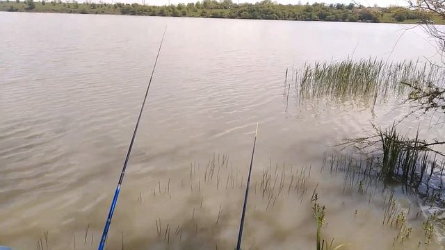 С женой на рыбалке ловим плотву смотреть онлайн