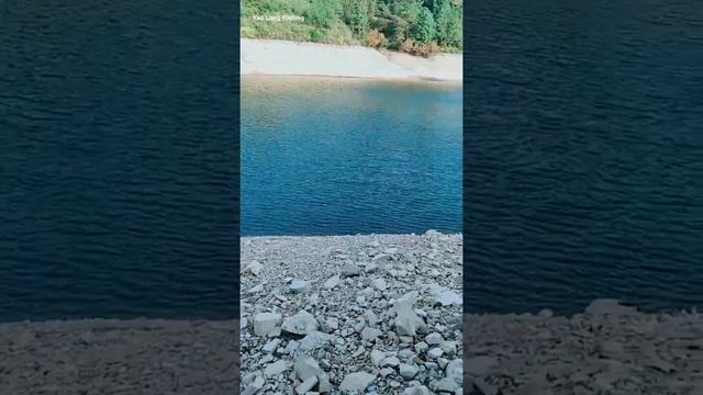 Best Video of Fishing 🕸🐡 Start fishing! The water depth is about 3-15 meters, suitable for rock f смотреть онлайн