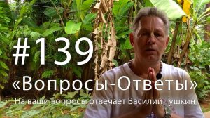 "Вопросы-Ответы", Выпуск #139 - Василий Тушкин отвечает на ваши вопросы