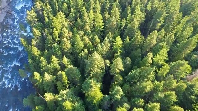 10 Hunters who VANISHED Without A Trace смотреть онлайн