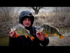 Первая рыбалка с ночевкой 2017. Ловля окуня. Рыбалка на велосипеде. Ловля на джиг весной.