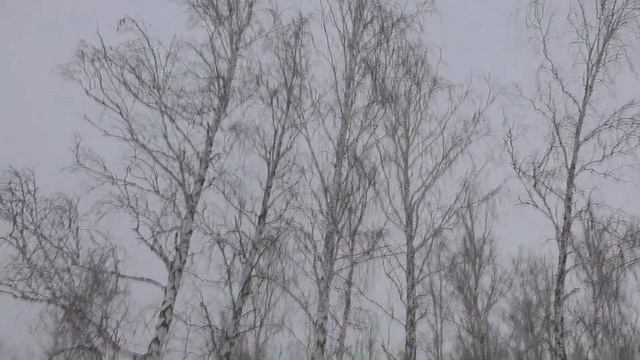 Шаманские бубны. Для восстановления сил. смотреть онлайн