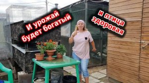 Советы бывалых огородников и птицеводов