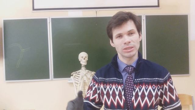 Аскарида человеческая (Ascaris lumbricoides) в стихах.mp4 смотреть онлайн