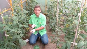 КОНСУЛЬТАНТ САДОВОДА 24