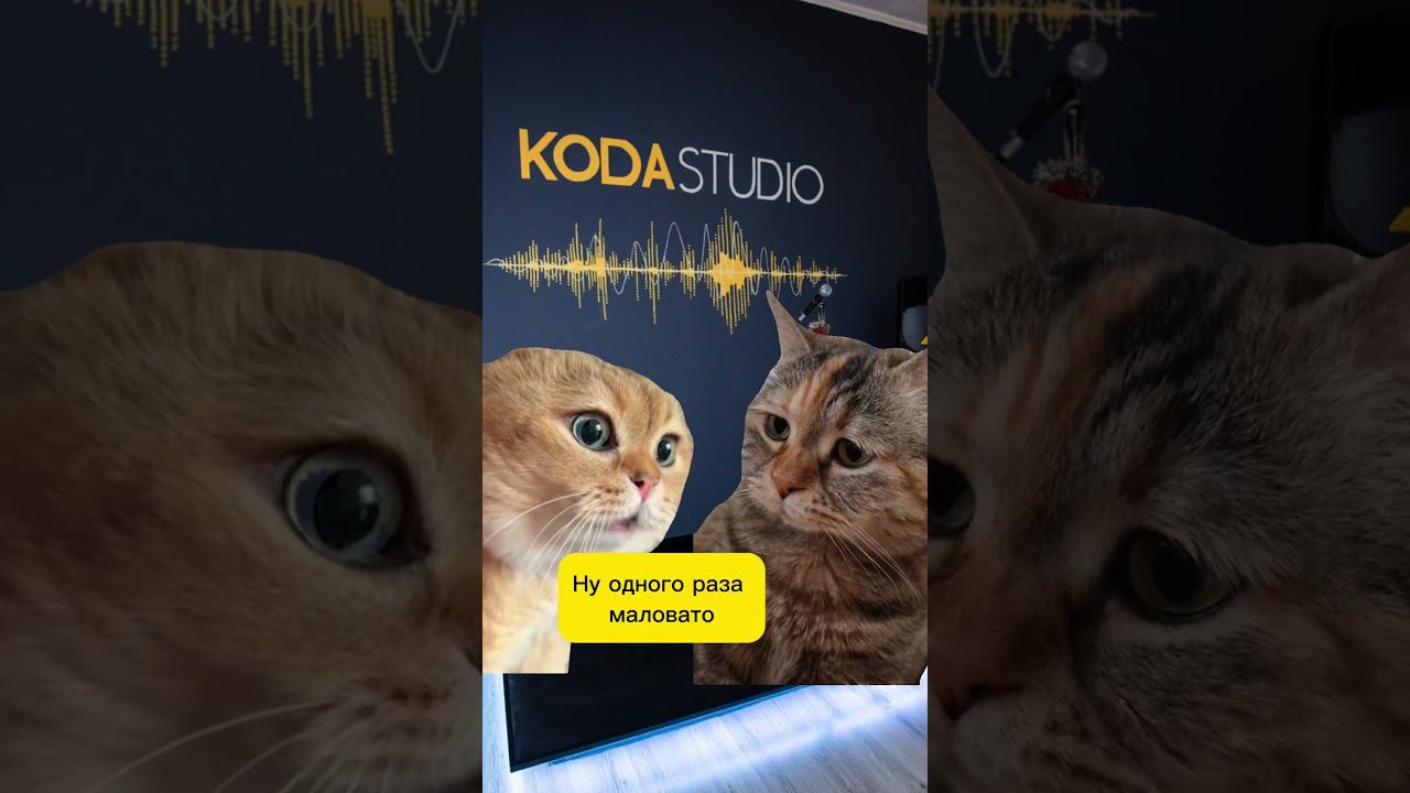 https://vk.com/kodastudiospb смотреть онлайн