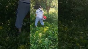 Бензокоса "Крюгер"