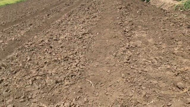 Капельная лента Neo drip. Эмиттер или щелевая смотреть онлайн