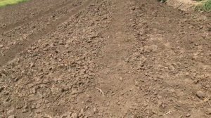 Капельная лента Neo drip. Эмиттер или щелевая