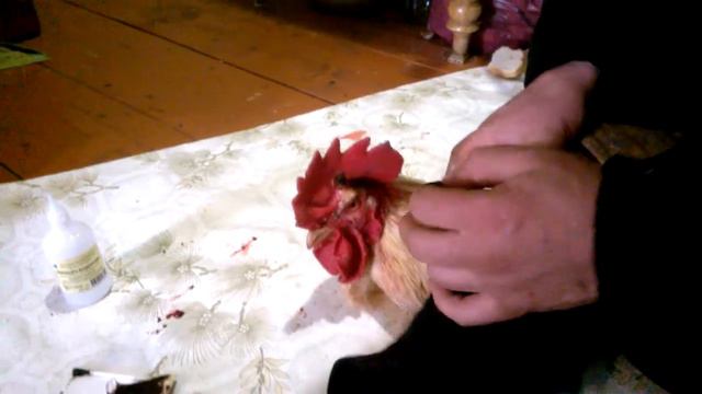 болезни кур смотреть онлайн