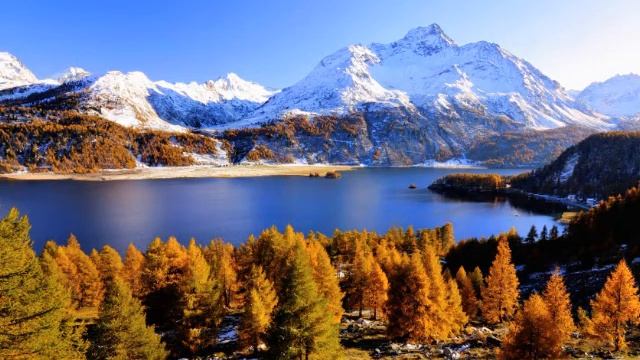 Nagilum - Autumn leaves смотреть онлайн
