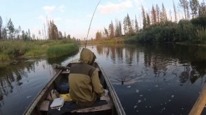 Рыбалка сплавом по реке Кута, 2019г. День первый.